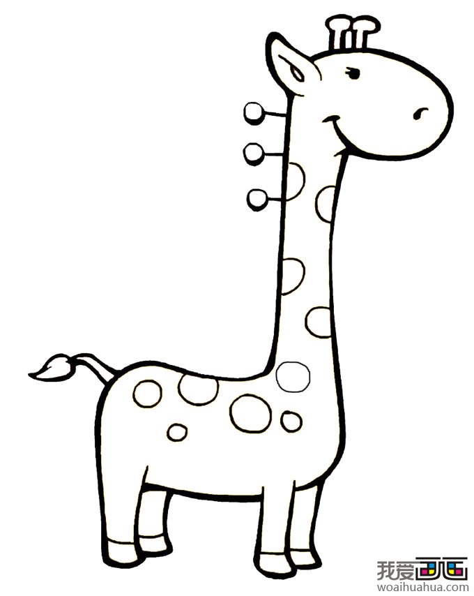 儿童动物简笔画:可爱的小长颈鹿简笔画