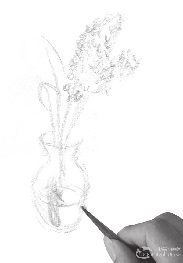 学画画 速写教程 花瓶和花的搭配,是日常生活中最为常见的.